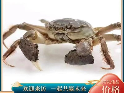 大闸蟹团购礼盒批发螃蟹鲜活现货捕捞【蟹农】顺丰快递死蟹包赔图4