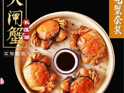 活蟹10只大闸蟹鲜活特大全母蟹海鲜水产品兴化红膏大闸蟹一件代发图2