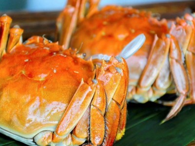 活蟹10只大闸蟹鲜活特大全母螃蟹海鲜水产品兴化红膏大闸蟹2两母图2
