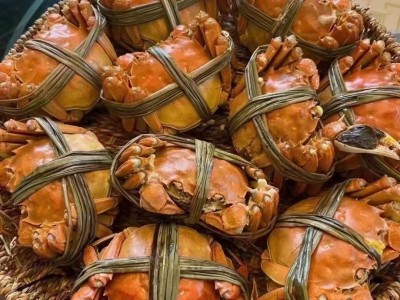 活蟹10只大闸蟹鲜活特大全母螃蟹海鲜水产品兴化红膏大闸蟹2两母图3