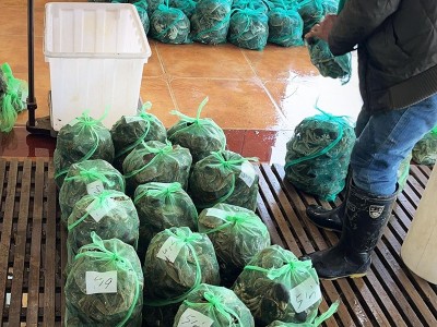 大闸蟹鲜活水产招代理河蟹阳澄湖新鲜养殖批发公司团购活蟹批发图3