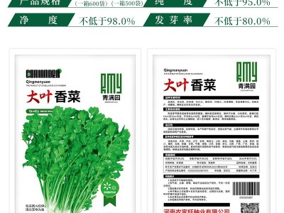 批发浓香大叶香菜种子四季种植蔬菜种子菜籽秋冬阳台小院花盆菜种图3