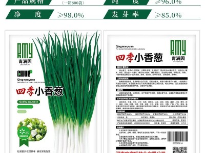 批发四季小香葱种子盆栽小葱分葱蔬菜种子籽菜园阳台易种蔬果种子图3