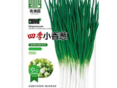 批发四季小香葱种子盆栽小葱分葱蔬菜种子籽菜园阳台易种蔬果种子图5