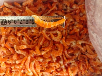 金钩海米原干虾米虾仁烤虾制作即食虾干海米休闲食品海鲜干货图2