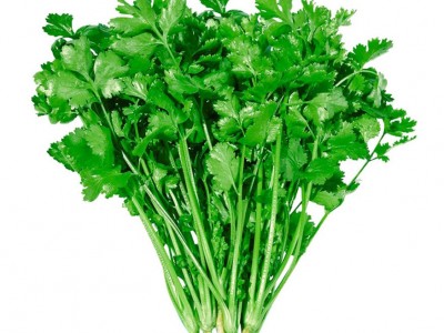 散装香菜种子 农田菜地盆栽四季蔬菜芫荽香菜籽香味浓郁图5