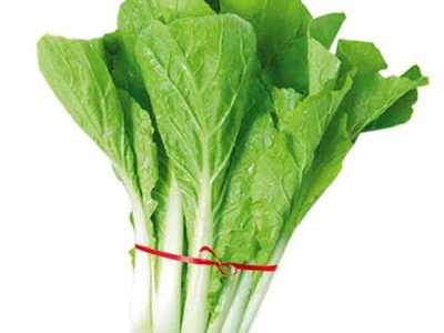 散装小白菜种子 农田菜地盆栽种植四季蔬菜脆嫩白菜籽图5