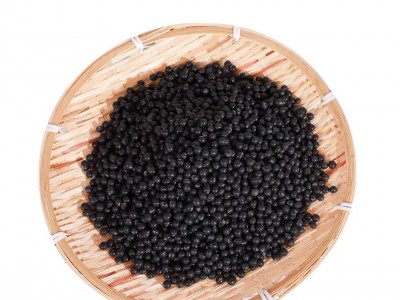 批发芽苗菜种子圆粒黑豆青豆苗用种无土栽培纸上种菜图5