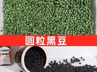 批发芽苗菜种子圆粒黑豆青豆苗用种无土栽培纸上种菜图3