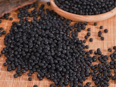 批发芽苗菜种子圆粒黑豆青豆苗用种无土栽培纸上种菜图4