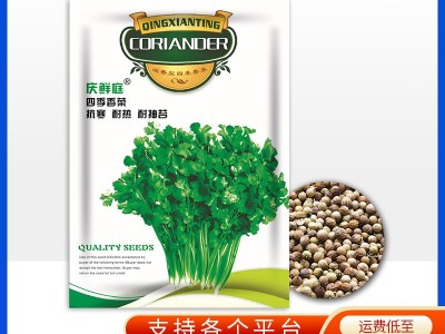厂家批发一件代发香菜种子10克芫荽籽大叶耐寒耐热四季蔬菜种子图4