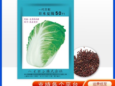 厂家批发代发快速耐抽苔日本夏阳50大白菜菜种子耐热耐寒蔬菜图1