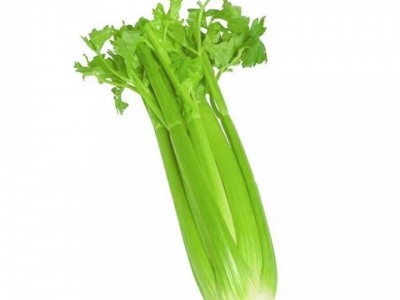 大肉西芹种子芹菜种籽肉厚脆爽春秋四季可播庭院田园农家蔬菜种子图5