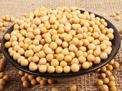 50斤黄豆批发粒粒精选黑龙江东北正宗非转基因大豆打豆浆专用图3