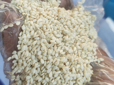 白芝麻 现货供应生白芝麻食品级袋装散装 农家白芝麻免洗干净无沙图2