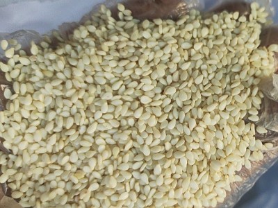 白芝麻 现货供应生白芝麻食品级袋装散装 农家白芝麻免洗干净无沙图4