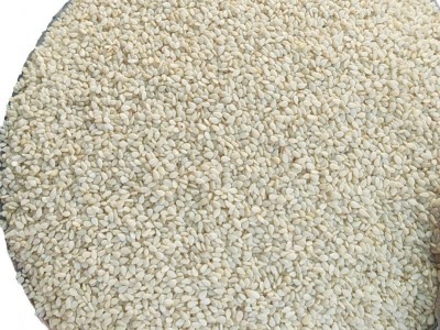 白芝麻 现货供应生白芝麻食品级袋装散装 农家白芝麻免洗干净无沙图5