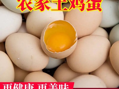 湖北洪湖恩宇人家农家土鸡蛋20枚珍珠棉装新鲜可现货批发图3