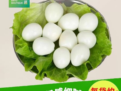 湖北洪湖恩宇去壳清水鹌鹑蛋200g*30袋火锅麻辣烫食材批发图3