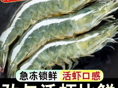 顺丰包邮大虾鲜活超大基围虾青岛海虾特大虾速冻海鲜水产生鲜虾类图3
