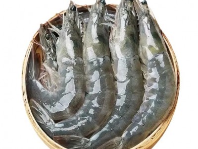 顺丰包邮大虾鲜活超大基围虾青岛海虾特大虾速冻海鲜水产生鲜虾类图5