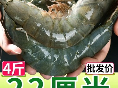 顺丰包邮大虾鲜活超大基围虾青岛海虾特大虾速冻海鲜水产生鲜虾类图4