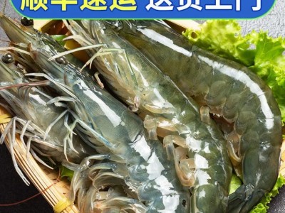 顺丰包邮大虾鲜活超大基围虾青岛海虾特大虾速冻海鲜水产生鲜虾类图2