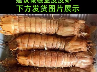 顺丰包邮皮皮虾鲜活熟冻一名虾爬子超大皮皮虾海鲜海虾新鲜直销图3