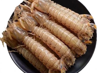 顺丰包邮皮皮虾鲜活熟冻一名虾爬子超大皮皮虾海鲜海虾新鲜直销图5