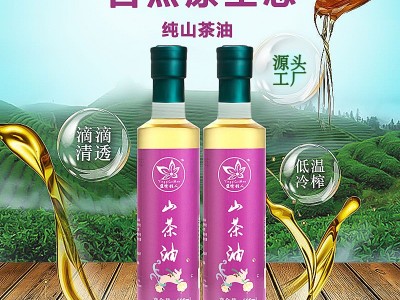 厂家直供无添加绿色山茶油 盈紫桂人 两瓶礼盒装500mlx2包邮图2