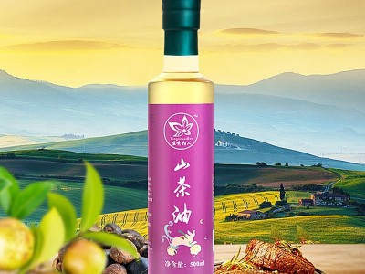 厂家直供广西本地山茶油 盈紫桂人品牌 双瓶礼盒装500mlx2图2