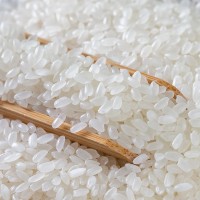 隆平芯米耐盐碱有机大米有机种植软糯真空袋包装盘锦粳米5kg一袋