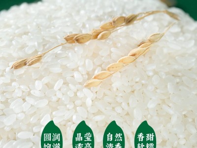 隆平芯米耐盐碱有机大米有机种植软糯真空袋包装盘锦粳米5kg一袋图5