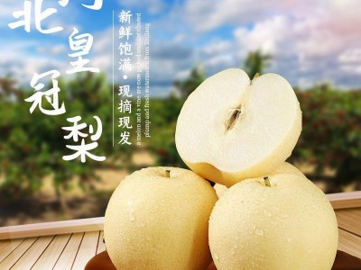 河北皇冠梨10斤包邮整箱新鲜水果梨当季梨子赵县图2