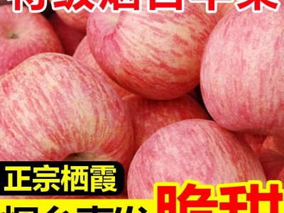 新鲜苹果烟台苹果烟台红富士苹果山东烟台红富士苹果10斤装图3