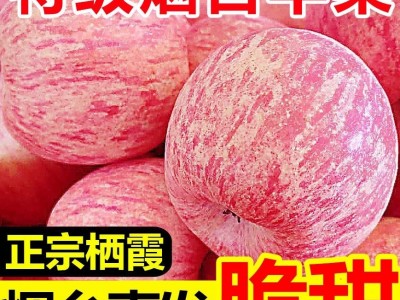 新鲜苹果烟台苹果烟台红富士苹果山东烟台红富士苹果10斤装图2