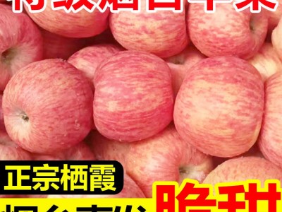 新鲜苹果烟台苹果烟台红富士苹果山东烟台红富士苹果10斤装图4