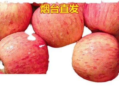 新鲜苹果烟台苹果烟台红富士苹果山东烟台红富士苹果10斤装图5