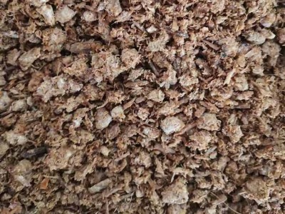有机肥原料厂供应金针菇下脚料蘑菇渣 可改良土壤原力生物图3