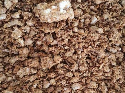 有机肥原料厂供应金针菇下脚料蘑菇渣 可改良土壤原力生物图2