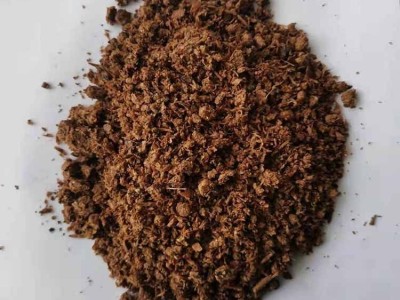 有机肥原料厂供应金针菇下脚料蘑菇渣 可改良土壤原力生物图5