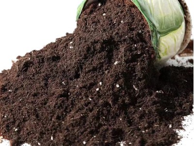 花卉栽植 草炭土 泥炭土 养分足 厂家发货 无中间商图2