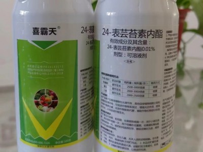 24表芸苔素内脂大量供应厂家直发各种规格都有欢迎咨询图2