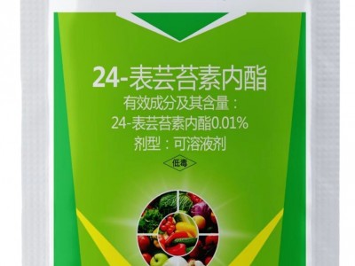 24表芸苔素内脂大量供应厂家直发各种规格都有欢迎咨询图4