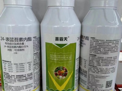 24表芸苔素内脂大量供应厂家直发各种规格都有欢迎咨询图3