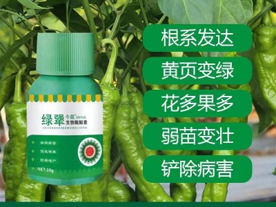 绿犟生物酶解素根多根壮叶面肥厚厂家供货增产花多果多抗倒伏图3