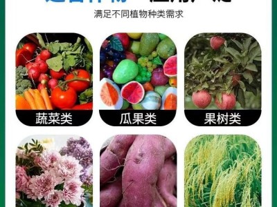 一喷绿叶面肥 含腐植酸功能型水溶肥|增加耐储存耐运输能力 绿尔康图3
