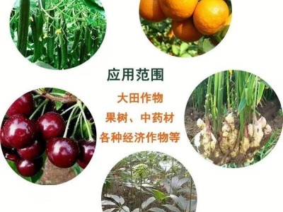 一喷绿叶面肥 含腐植酸功能型水溶肥|增加耐储存耐运输能力 绿尔康图5