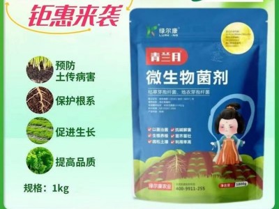 防根腐提质增产效果明显微生物菌肥厂家 枯草芽孢杆菌 绿尔康农业图2