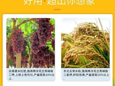 磷酸二氢钾 全水溶肥 农业级 农用叶面肥99% 现货直发 绿尔康农业图3